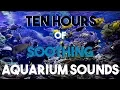 Download Lagu 10 Hours Of Aquarium Ambience | Relaxing Bubbles For Study, Sleep \u0026 Meditation