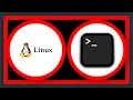 What is the difference between grep pgrep egrep fgrep