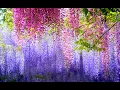 Download Lagu HEALING MUSIC FOR BODY AND SOUL! THE MOST BEAUTIFUL MUSIC BY SERGEY GRISCHUK!