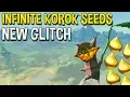 NEW Infinite Korok Seeds Glitch in Breath of The Wild Updated 2019 Tutorial
