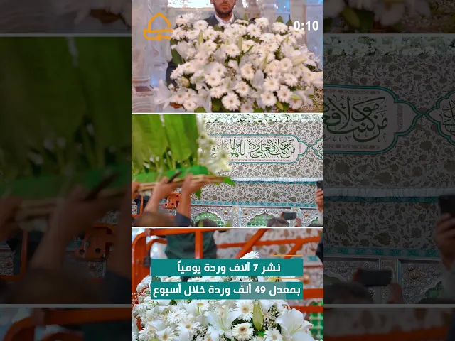 ⁣تزيين حرم المولى أمير المؤمنين(ع) بـ7000 وردة طبيعيّة يوميًّا خلال أسبوع الغدير الدوليّ الثالث عشر