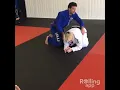 Roll from Turtle with Dr Jen Case