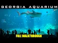 Download Lagu Georgia Aquarium - Walking Tour - Full Walkthrough 2024 - 4k -  Largest Aquarium in USA