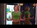 Shaggy Chick