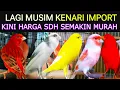 Download Lagu LAGI BANJIR KENARI IMPORT (WARNA-WARNI) KINI HARGANYA SDH SEMAKIN MURAH DI PASAR BURUNG PRAMUKA