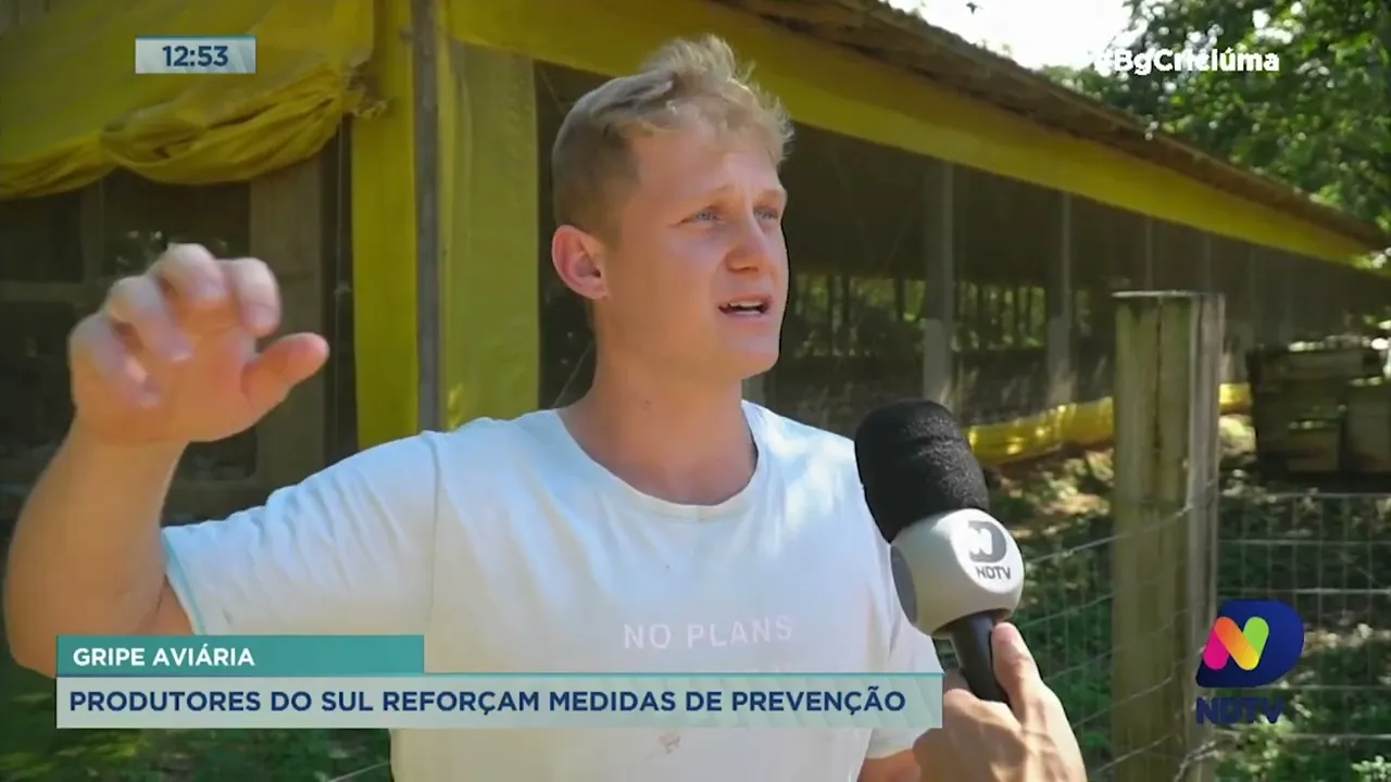 Produtores do Sul reforçam medidas de proteção contra a gripe aviária após casos em países vizinhos