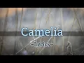 Download Lagu CAMELIA - IRWANSYAH ( Lyrics + Cover By Andre Mastijan )