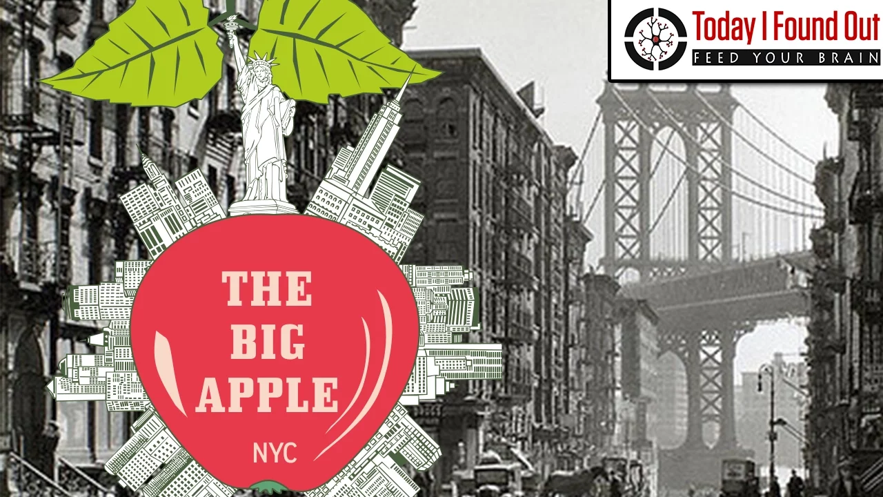 Why is New York City Called the Big Apple? | Video Summary and Q&A | Glasp