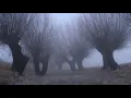 FREDERIC CHOPIN - Berceuse in D Flat Major, Op. 57
