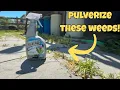 Pulverize Lawn Weed Killer review