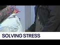 How to manage your stress as election season approaches