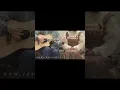 Download Lagu あれくん＆『ユイカ』/あのね。サビ