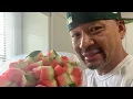 Part 2 Juicing watermelon rinds