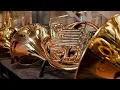 Download Lagu Adams Music Centre Lummen - Hoorns