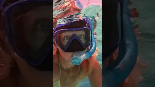 Chasing a Shark #shark #boatlife #shorts #bahamas #reels  #sailing