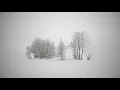 Download Lagu Алсу Зимний сон / Alsou Zimnij Son / Alsou Kış Rüyası / with Russian and Turkish Lyrics