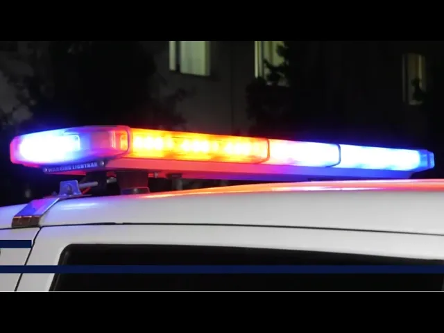 შინაგან საქმეთა სამინისტრომ ინტერპოლის მიერ წითელი ცირკულარით ძებნილი 3 პირი დააკავა