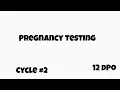 12 DPO pregnancy testing BFN