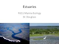 Marine Ecology Lecture Estuaries