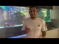Download Lagu My 180 Gallon Predator Saltwater Aquarium!