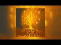 Lagu Vini Vici feat' Hayanuka הינוקא - Nigun (Extended) | Alteza Records