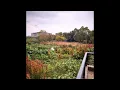 Jermaine Will - Feelings (Remix)