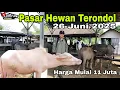Download Lagu Update Terbaru Harga Kerbau | Ps Hewan Terondol | 26 Juni 2025 | Kota Serang Banten