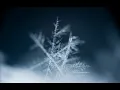 Trentemoller - Snowflake (Live Version)