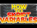 How to skript Variables