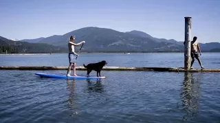 Champ the Floating Dog – Pushing North 109