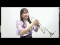 【ミンサガ】神々への挑戦-四天王バトル【トランペット生演奏】