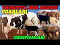 Download Lagu YANGIYOʻL MOL BOZORIDA ONA -BOLA SIGIRLAR NARXLARI BILAN TANISHAMIZ 🐄🐄