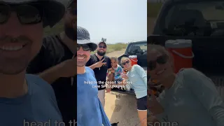 Exploring Aruba With Local Guides #islandlife #summertime #mural #beach #caves #sailingbyefelicia