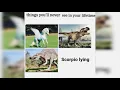 Hilarious Scorpio zodiac memes