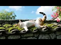🎧𝘱𝘭𝘢𝘺𝘭𝘪𝘴𝘵☀️우연히 들었는데 너무 좋은 행운같은 음악! 이젠 내꺼 플리🏠마음이 몰랑해지는 감성팝송 | 카페 로파이 & 힐링 음악 커피 한잔 플레이리스트