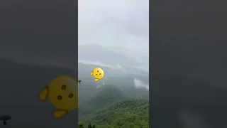 This Monkey Learned How To Fly 