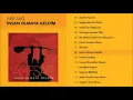 İnsan Olmaya Geldim - Arif Sağ