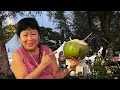 Download Lagu Explore East Malaysia, Land of the Sun