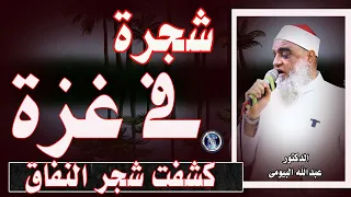 غزة تكشف الوجوه الحقيقية شجرة الإيمان فضحت شجرة النفاق خطبة مزلزلة للدكتور عبدالله البيومى 