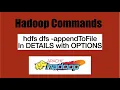 Basic FS Commands fs dfs - appendToFile in details append Hadoop Command with example