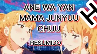anime h ane wa yanmama junyuu chuu resumen capitulo 1