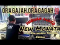 Download Lagu DHEHAN HOREEGG‼️💥🙉💥‼️LIVE KENDAL.BERSAMA NEW MONATA