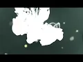 Download Lagu Girls Planet 999 - Fate | footage