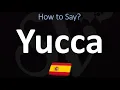 How to Say YUCCA in Spanish
