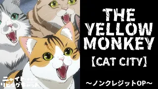 YouTube影片, 內容是NYAIGHT OF THE LIVING CAT 活屍貓之夜 的 OP