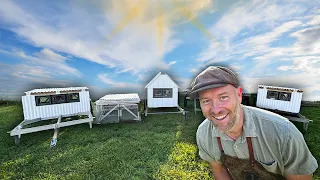 5 Chicken Coops that Work 5 Brilliant Ways