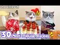 Download Lagu 😋30 Most Popular Recipes You'll Love! | That Little Puff