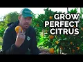 Download Lagu How to Plant, Grow, \u0026 Care for Citrus Trees (COMPLETE GUIDE)