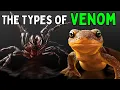 All 4 Types Of Venom Explained