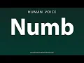 How To Pronounce Numb